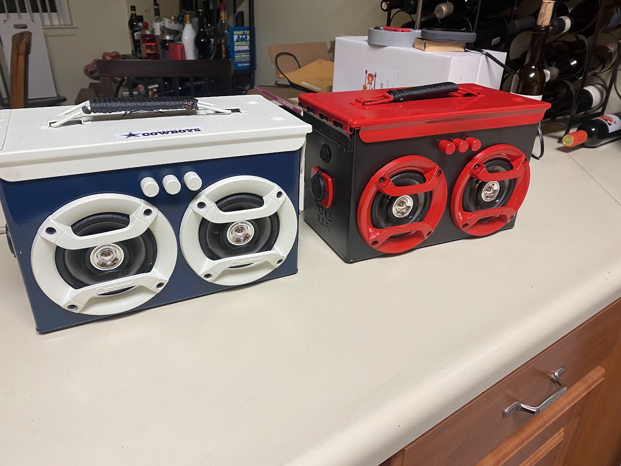 Custom Build Speaker